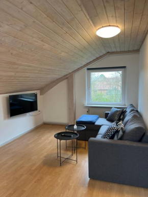 Cozy Apartment in Billund